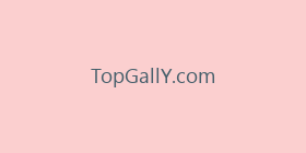 TopGallY.com