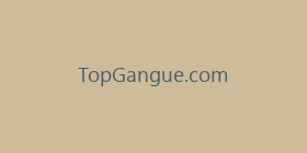 TopGangue.com