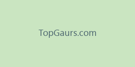 TopGaurs.com