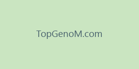 TopGenoM.com