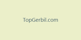 TopGerbil.com