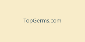 TopGerms.com