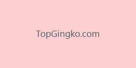 TopGingko.com