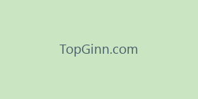 TopGinn.com