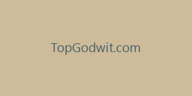 TopGodwit.com