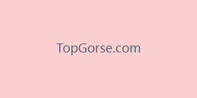 TopGorse.com