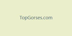 TopGorses.com