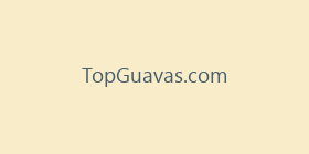 TopGuavas.com