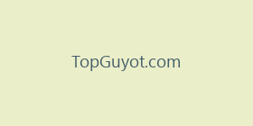 TopGuyot.com