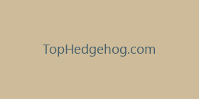 TopHedgehog.com