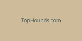TopHounds.com