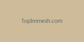 TopImmesh.com