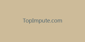 TopImpute.com