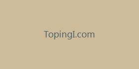 TopingI.com