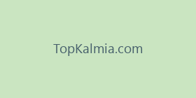TopKalmia.com