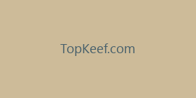 TopKeef.com