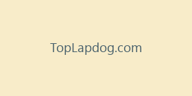 TopLapdog.com