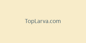 TopLarva.com