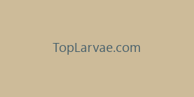 TopLarvae.com