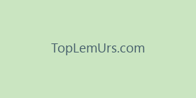 TopLemUrs.com