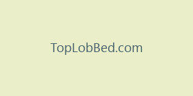 TopLobBed.com
