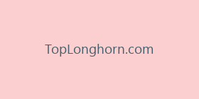 TopLonghorn.com