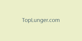 TopLunger.com