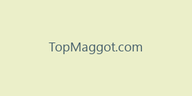 TopMaggot.com