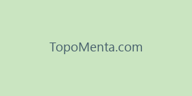 TopoMenta.com