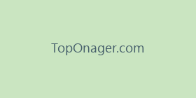 TopOnager.com