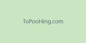 ToPooHing.com
