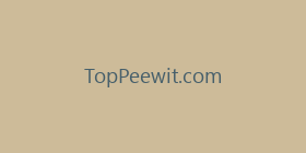 TopPeewit.com