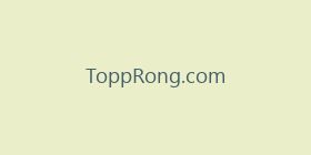 ToppRong.com