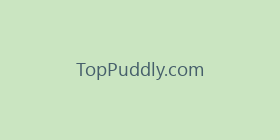 TopPuddly.com