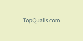 TopQuails.com