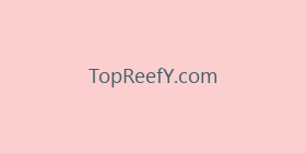 TopReefY.com