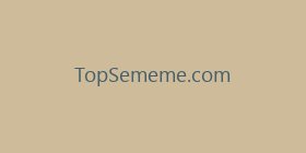 TopSememe.com