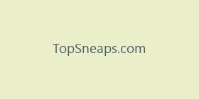 TopSneaps.com