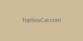 TopSouCar.com