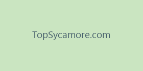TopSycamore.com