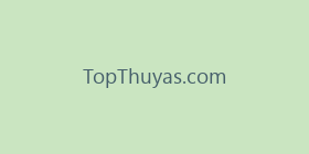 TopThuyas.com