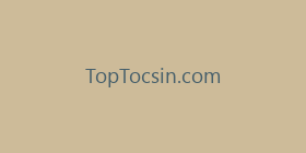 TopTocsin.com