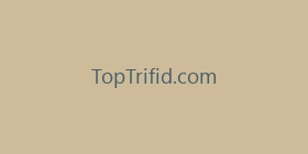 TopTrifid.com
