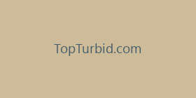 TopTurbid.com
