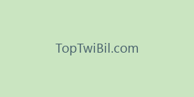 TopTwiBil.com