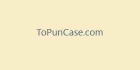 ToPunCase.com