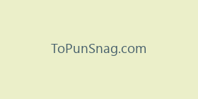 ToPunSnag.com