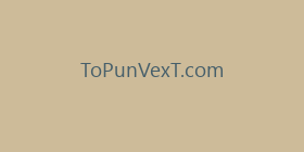 ToPunVexT.com