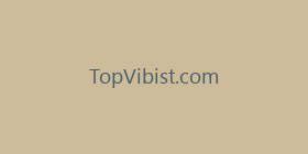 TopVibist.com