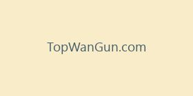 TopWanGun.com